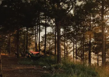 Best Hammocks in Nepal Under Rs 3000 — Complete Buying Guide 2026